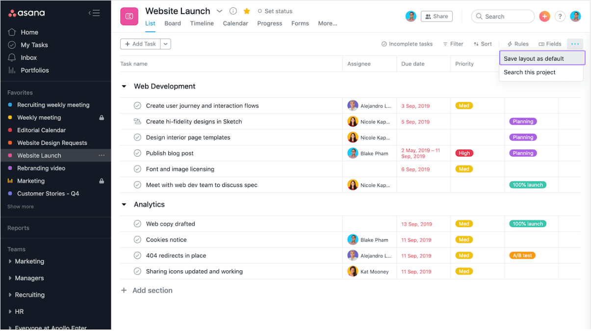 Asana project view showing Website Launch tasks with Web Development and Analytics sections, assignees, and due dates